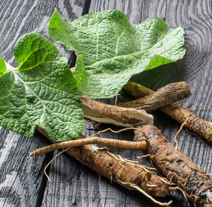 Burdock Root Capsules