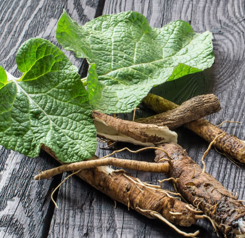 Burdock Root Capsules