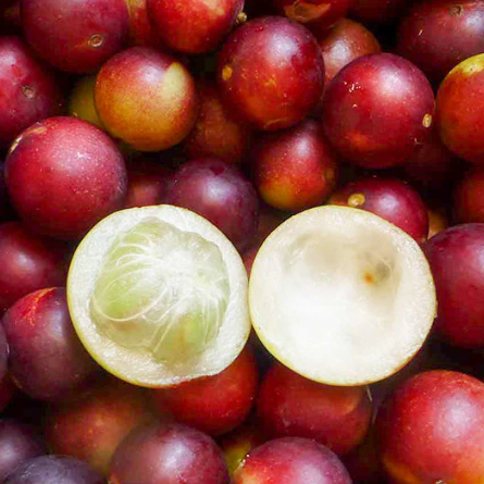 Camu Camu Capsules