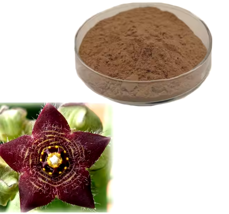 Caralluma  (1 lb Powder)