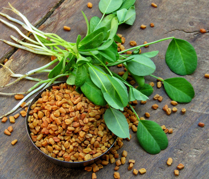 Fenugreek Capsules