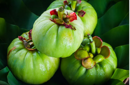 Garcinia Cambogia Capsules