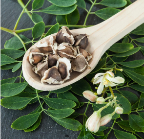 Moringa Capsules