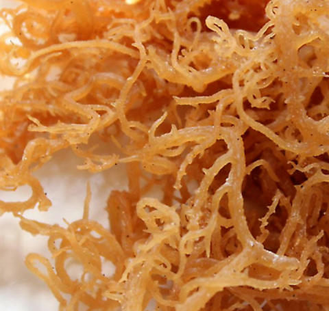 Whole Leaf Irish Sea Moss (Raw Superfood)