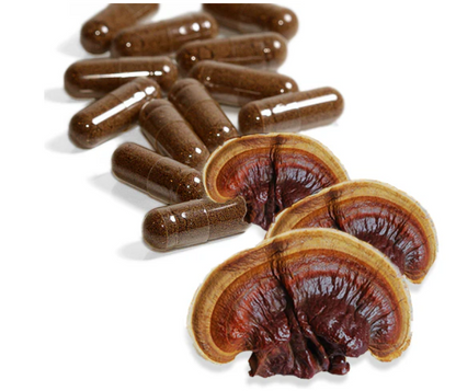 Reishi Mushroom Capsules