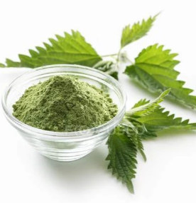 Nettle Leaf  (1 lb Powder)