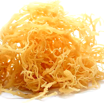 Irish Sea Moss Capsules