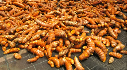 Organic Turmeric Capsules