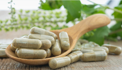 Lion's Mane Mushroom Capsules